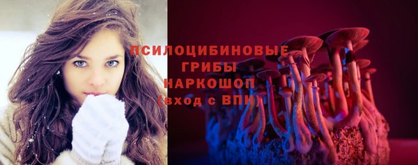 прущие грибы Аркадак