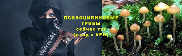 гашик Алексеевка