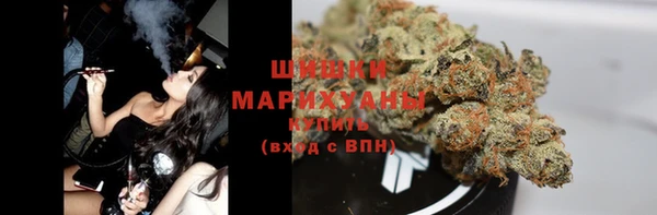 ГАЛЛЮЦИНОГЕННЫЕ ГРИБЫ Арсеньев