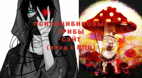 гашик Алексеевка