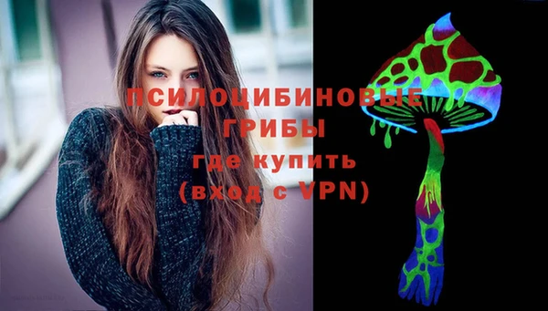 прущие грибы Аркадак
