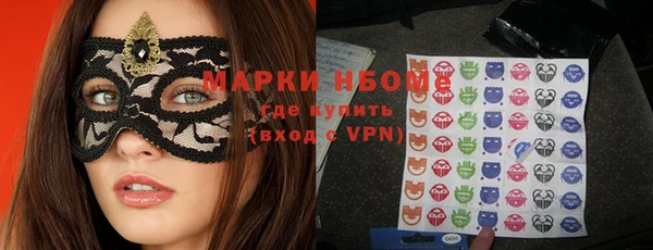 прущие грибы Аркадак