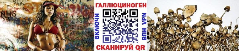 Галлюциногенные грибы мицелий  Купить закладки  Бакал 