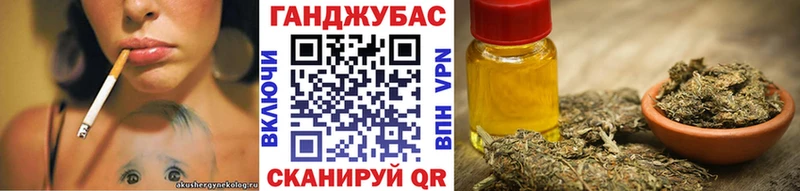 Конопля план  Купить закладки  Бакал 